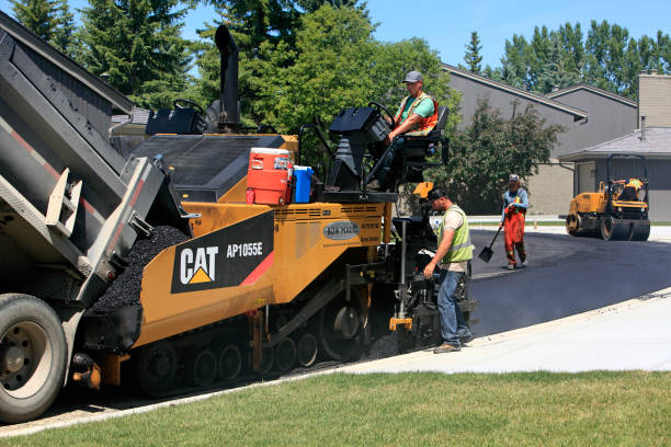 Best Custom Driveway Pavers  in Williamsburg, VA